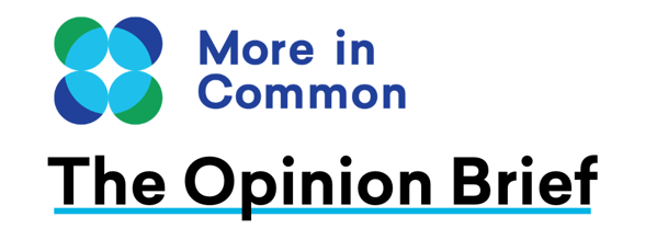 The Opinion Brief (4)-1
